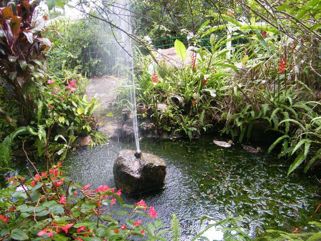 Lake Eacham Tourist Park & Cabins Extérieur photo